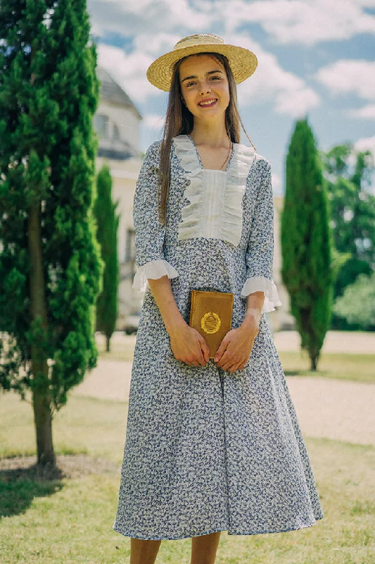 Downton Abbey Dress